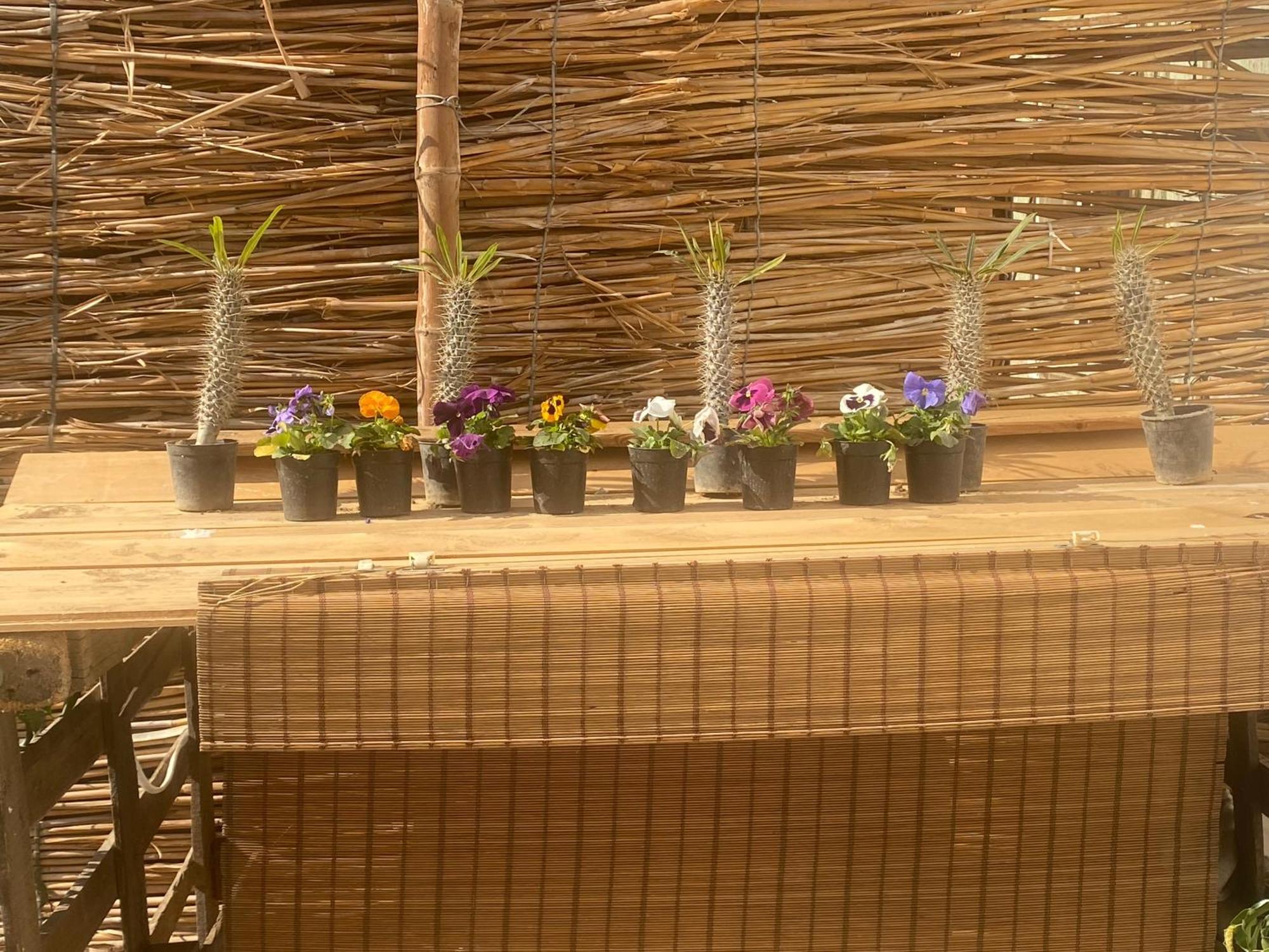 Airport Rooftop Club Luxurious Rooms And Studios El El Cairo Exterior foto